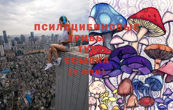 MDMA Premium VHQ Аркадак