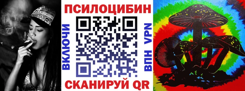 Галлюциногенные грибы Psilocybe  Можайск 